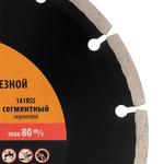 Диск алмазный отрезной сегментный, 200 х 32 мм, сухая резка SPARTA 731135